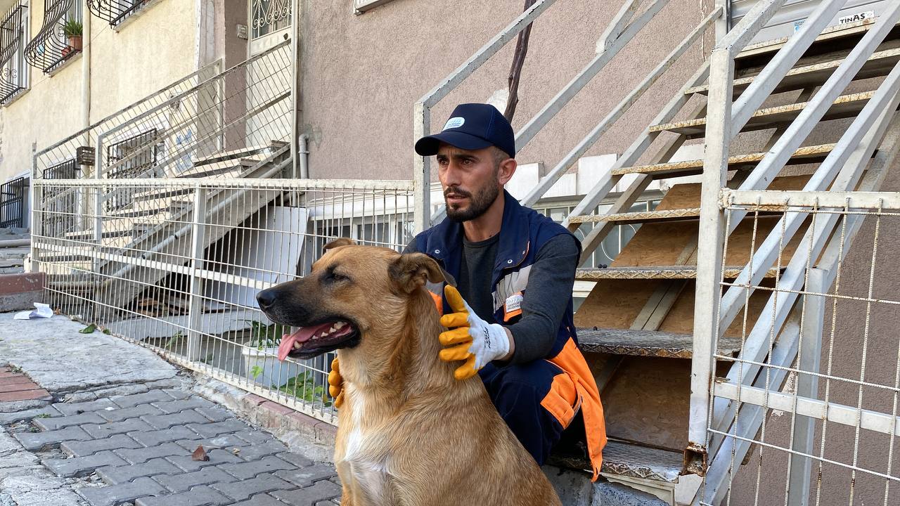 Sokak Köpeği İle Temizlik Görevlisinin Yürekleri Isıtan Dostluğu