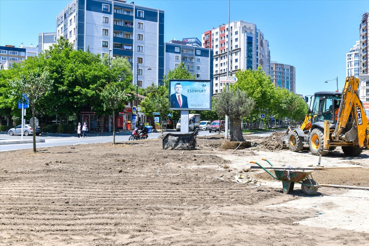 Esenyurt’ta Yüz Yaşını Aşmış Zeytin Ağaçları Dikildi