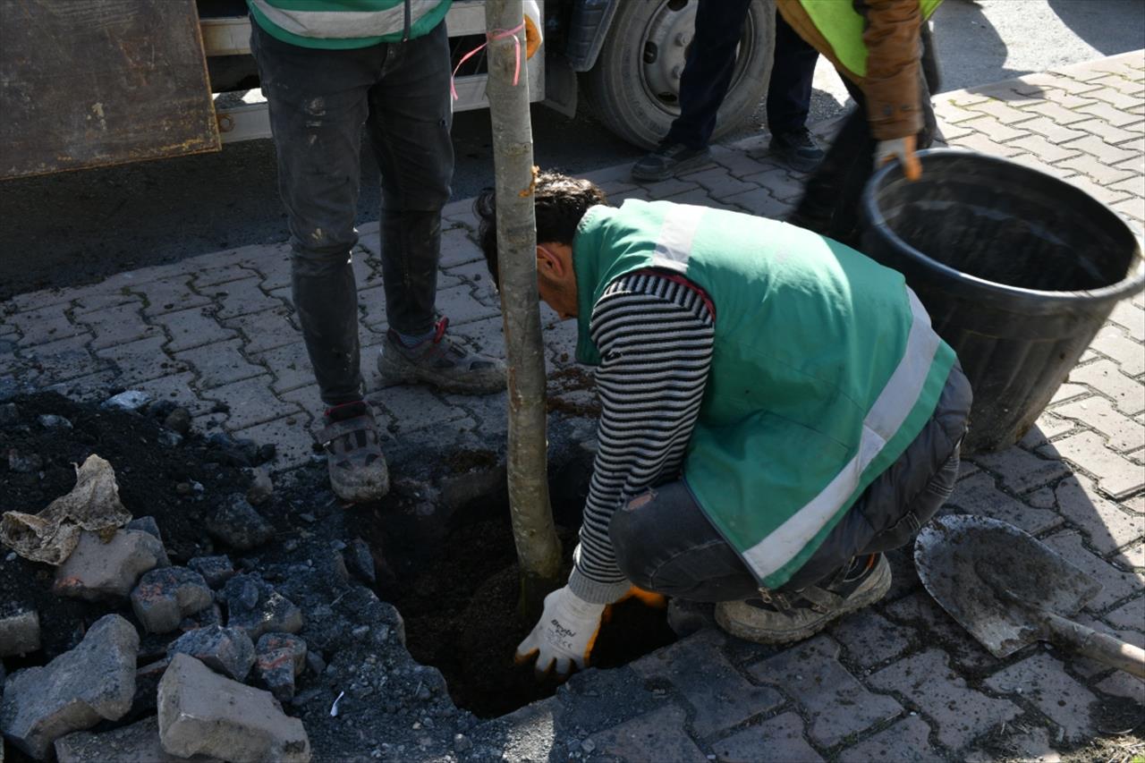 Esenyurt’ta Sorunlar Yeşillendirmeyle Çözülüyor