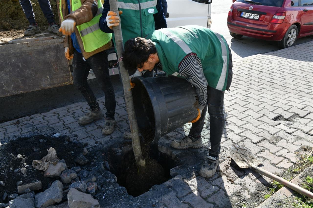 Esenyurt’ta Sorunlar Yeşillendirmeyle Çözülüyor