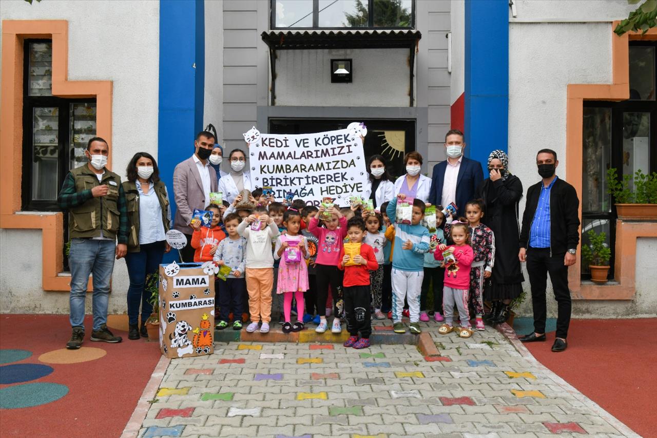 Harçlıkları İle Sokak Hayvanlarına Mama Aldılar!