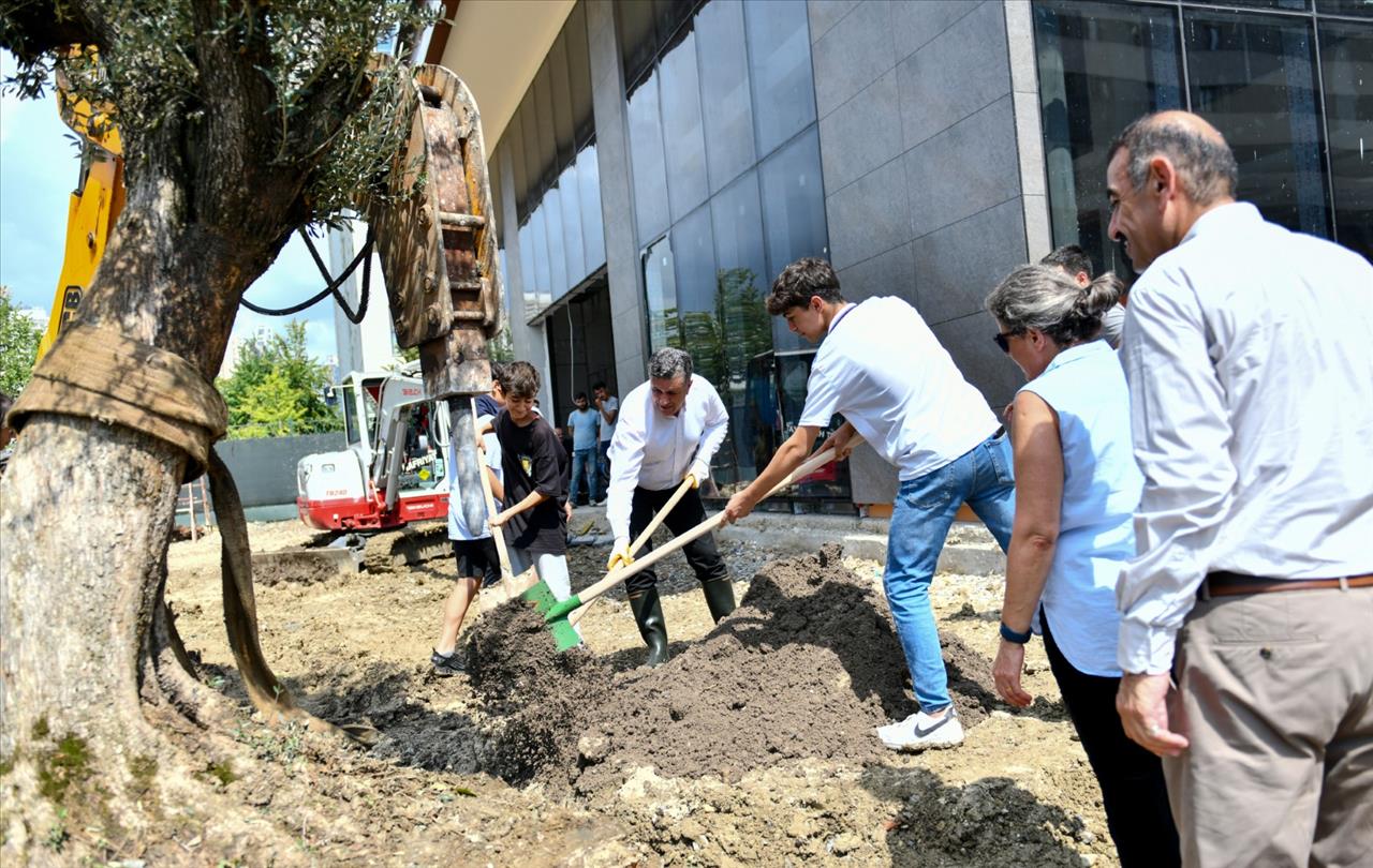 Başkan Bozkurt Çocuklarla Barış Ağacı Dikti