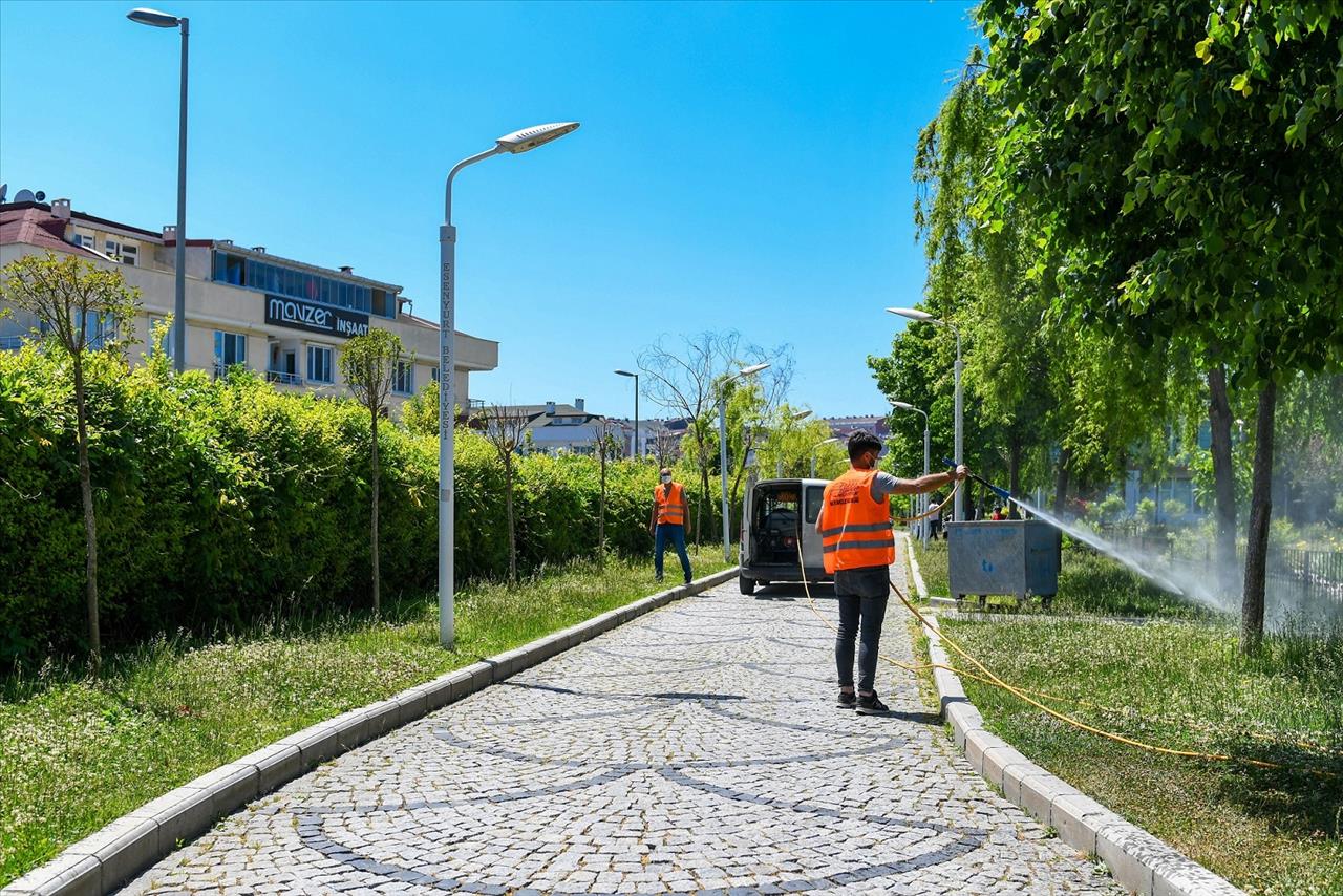 Esenyurt Belediyesi Ağaçları Zararlı Böceklere Karşı İlaçlıyor