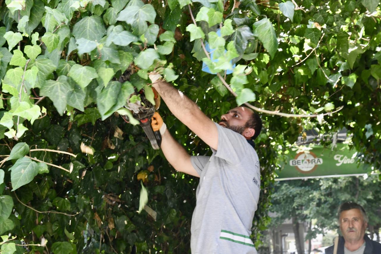 Esenyurt Belediye Başkanı Özer’den Parklara “Hizmet Seferberliği”