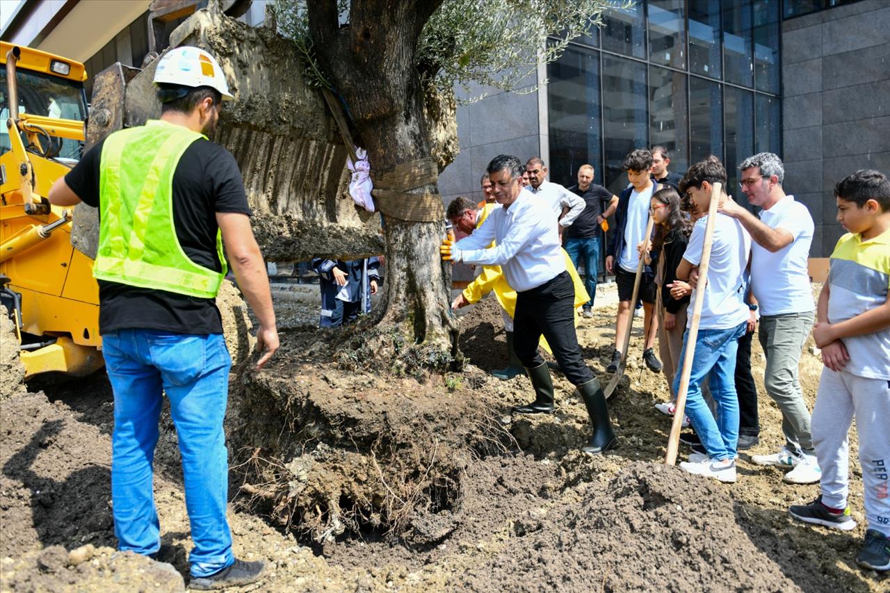 Başkan Bozkurt Çocuklarla Barış Ağacı Dikti