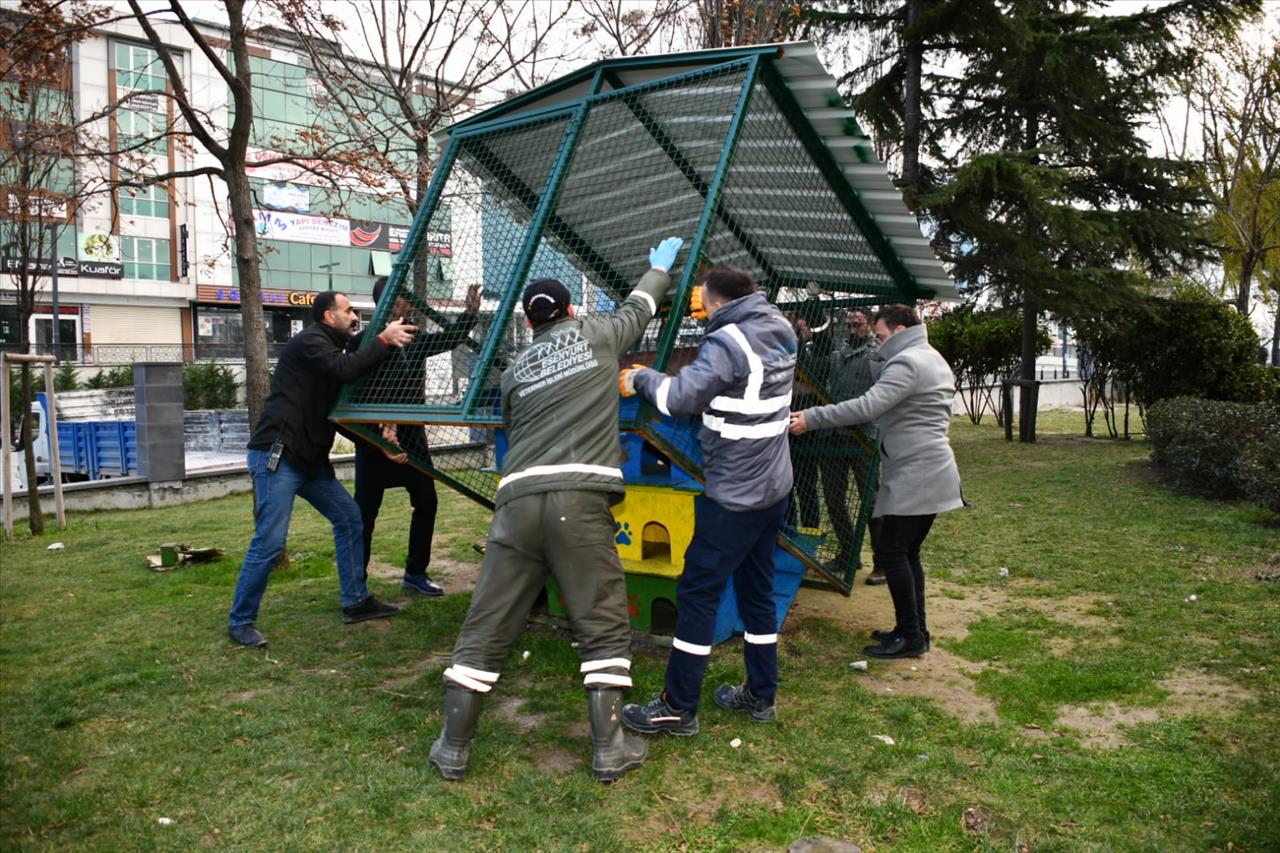 Esenyurt Belediyesi'nden Sokak Hayvanlarına Korunaklı Yuva