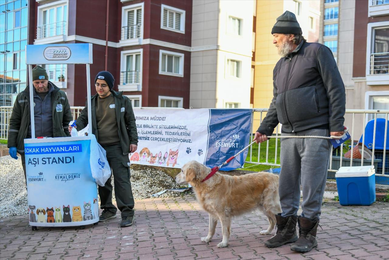 Esenyurt Belediyesi, ‘Sokak Hayvanları Ambulansı’ İle Can Dostlarımızın Hizmetinde 