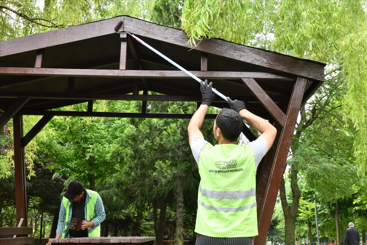 Parklar Çiçek ve Bitkilerle Süsleniyor