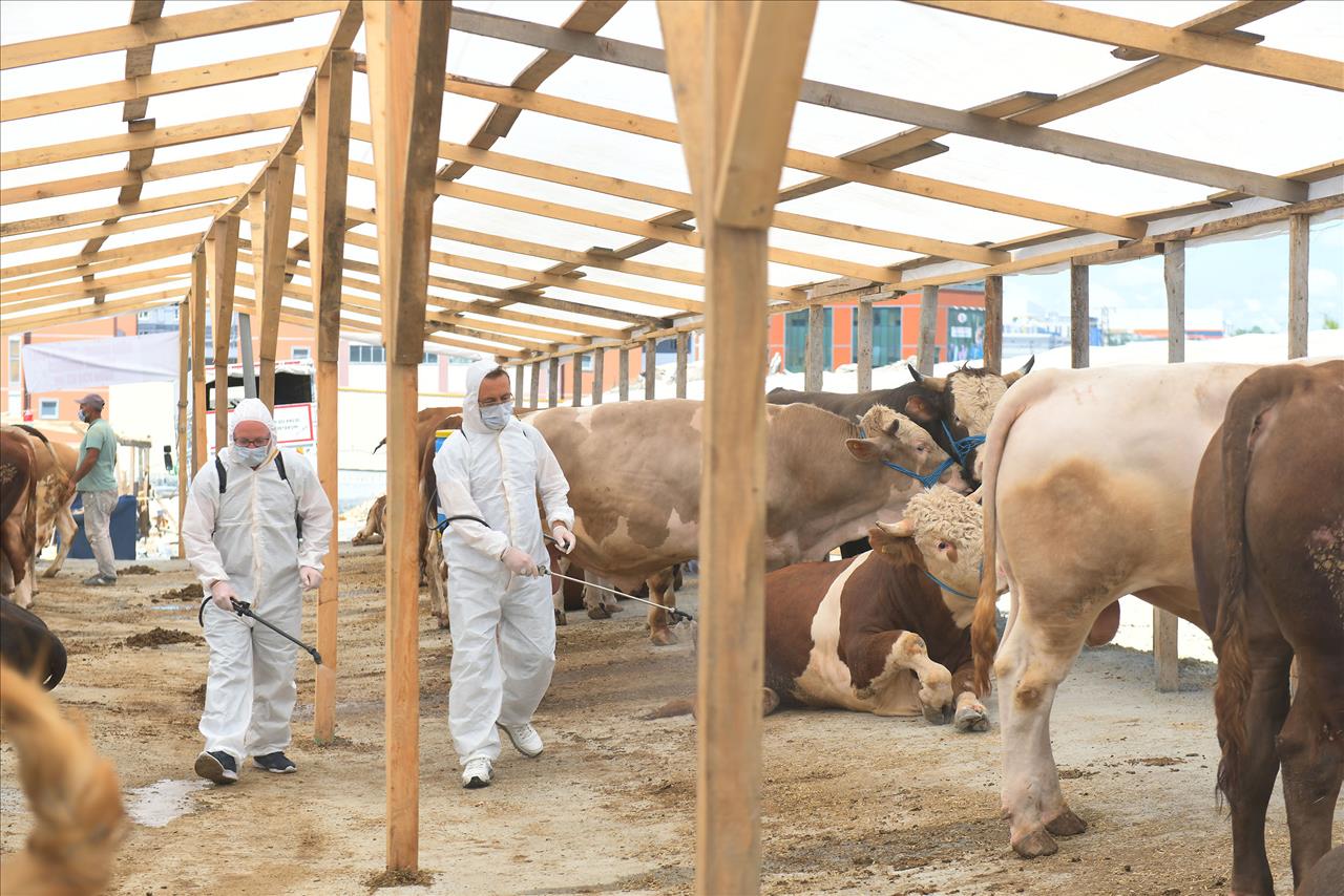 Esenyurt Belediyesi’nden Kurban Hazırlıklarını Tamamladı