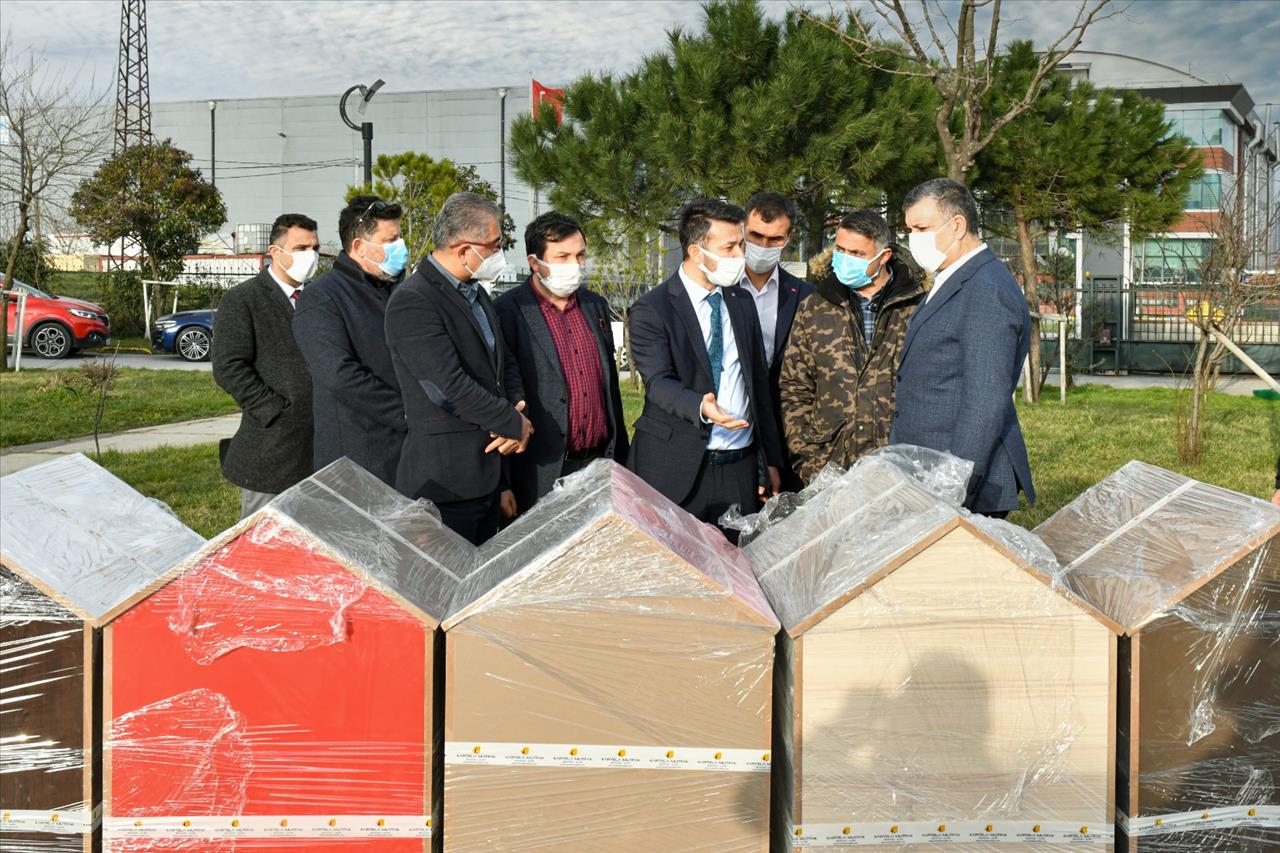 Samsun Köy Derneklerinden Sokak Hayvanlarına Yuva