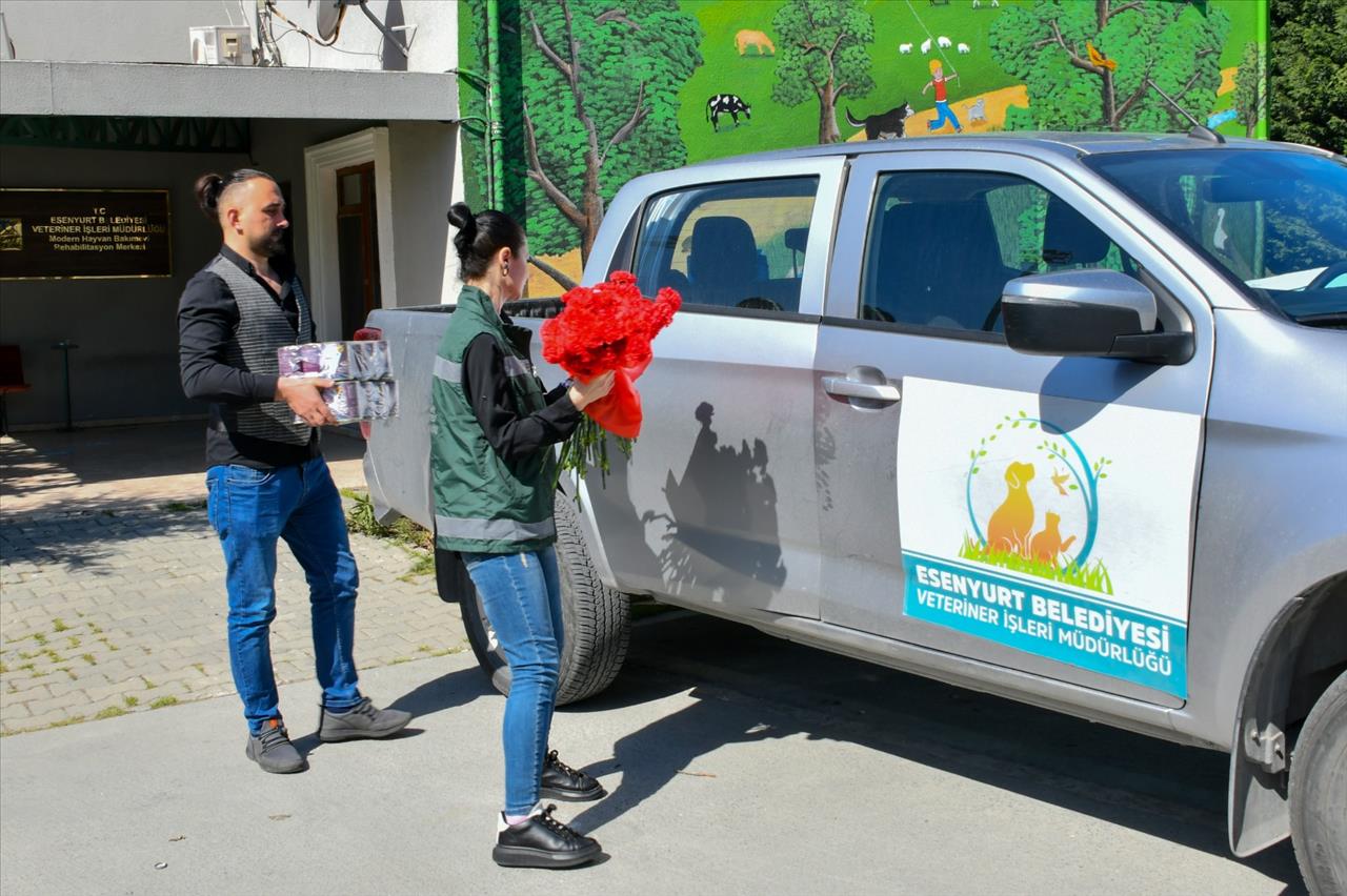 Esenyurt Belediyesi, Patili Dostlarımızın Annelerini Unutmadı