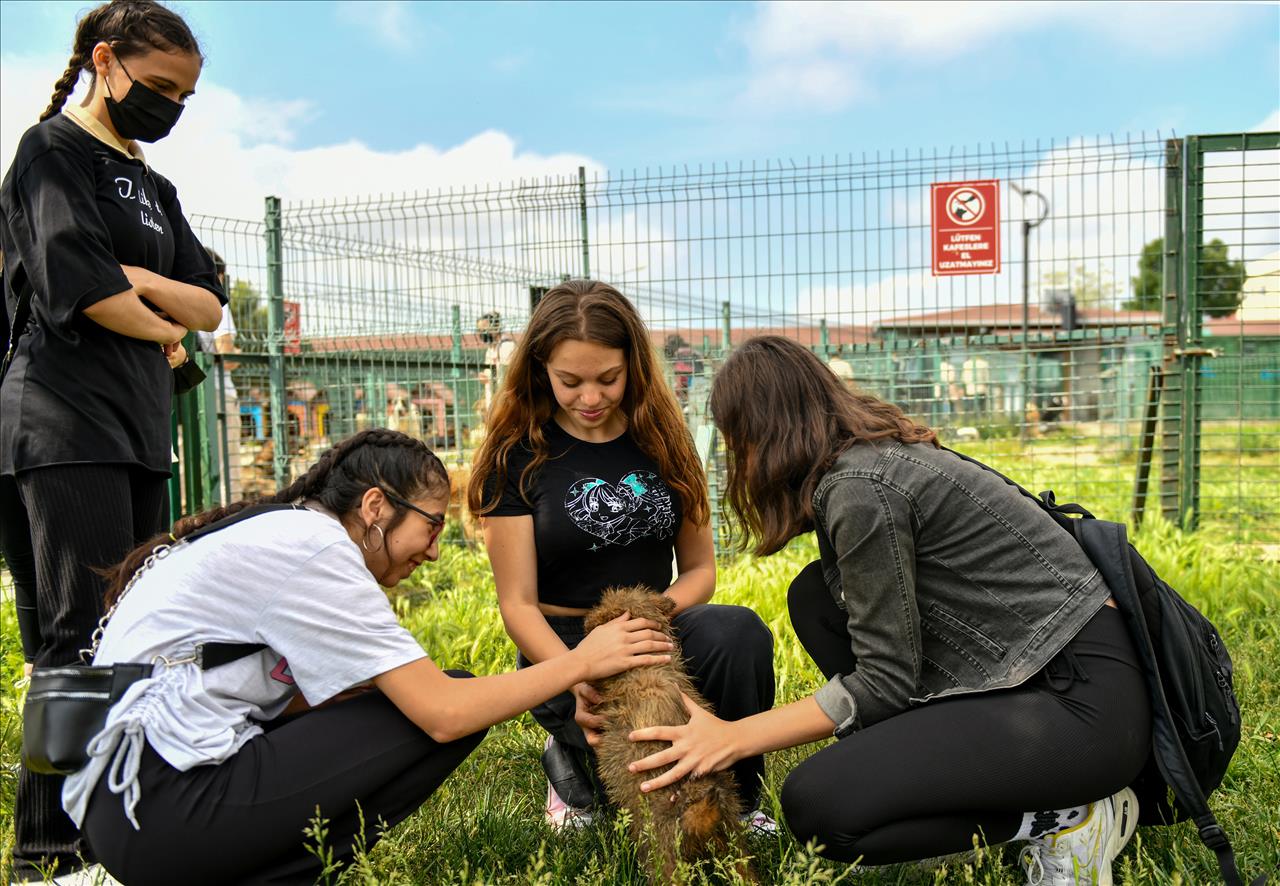 Liseli Gençler, Can Dostlarımızla Bir Araya Geldi