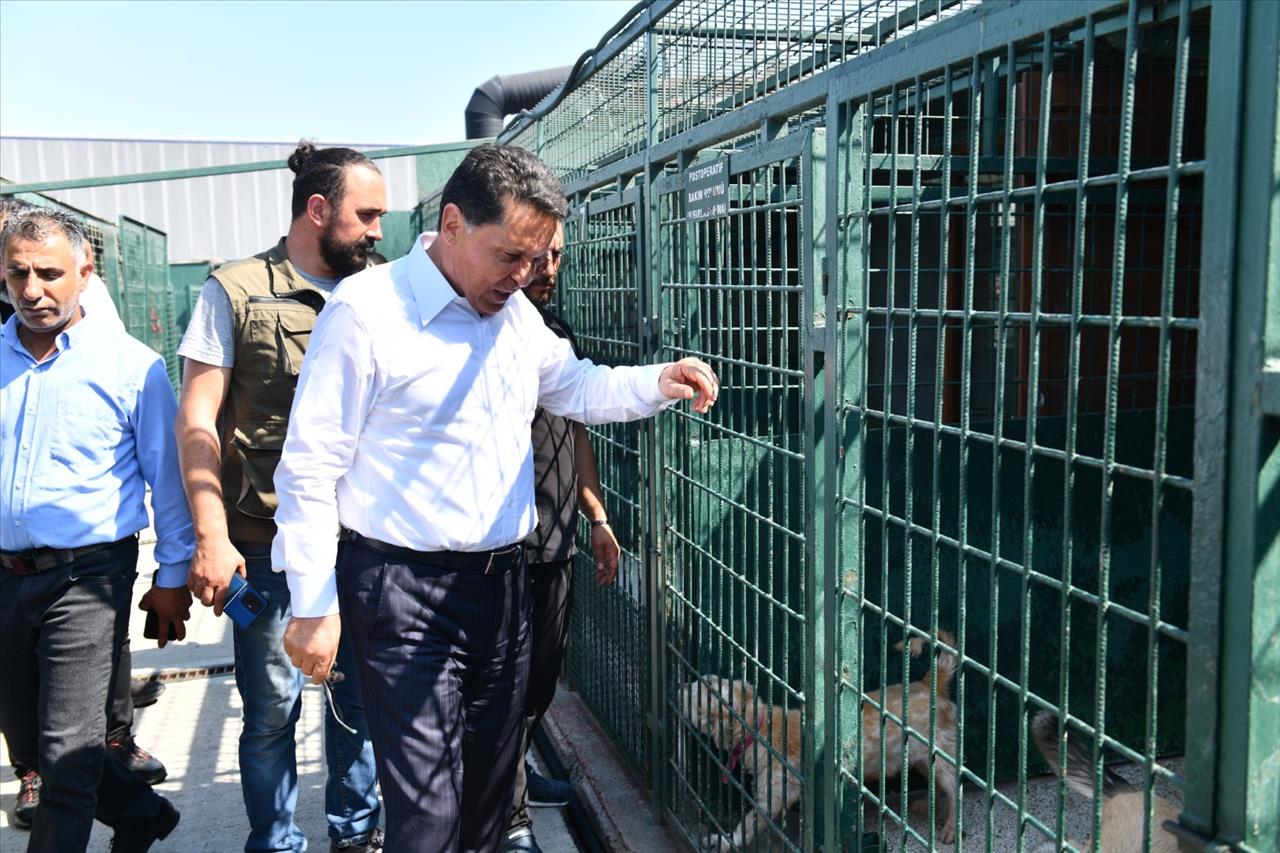 Başkan Özer’den Hayvan Hakları Yasasına İlişkin Önemli Açıklama 