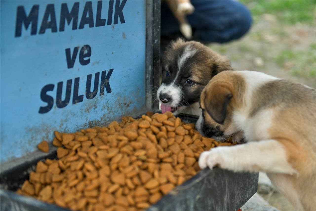 Esenyurt Belediyesi Mart Ayında Da Yardımlarını Sürdürdü