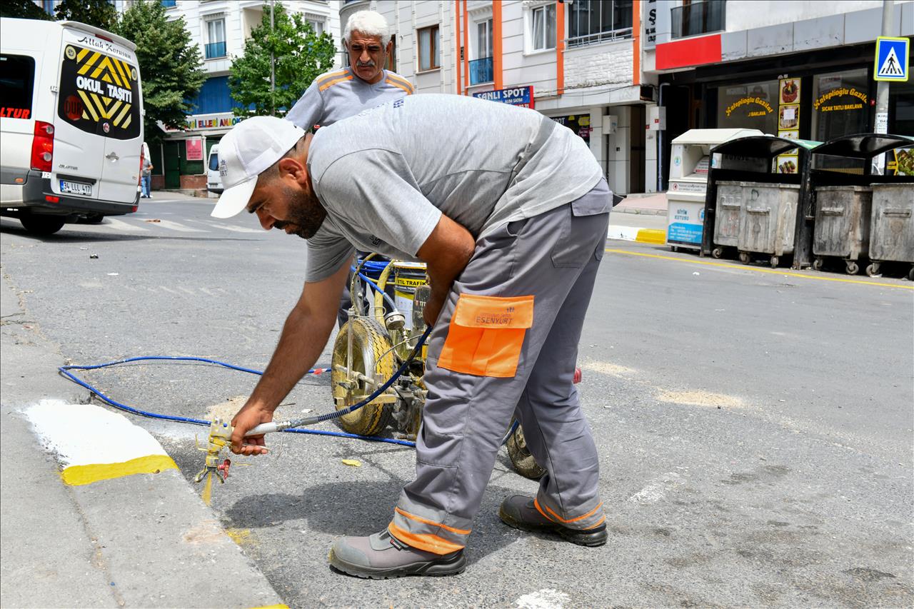 Esenyurt’ta Bordür Boyama Ve Yenileme Çalışması