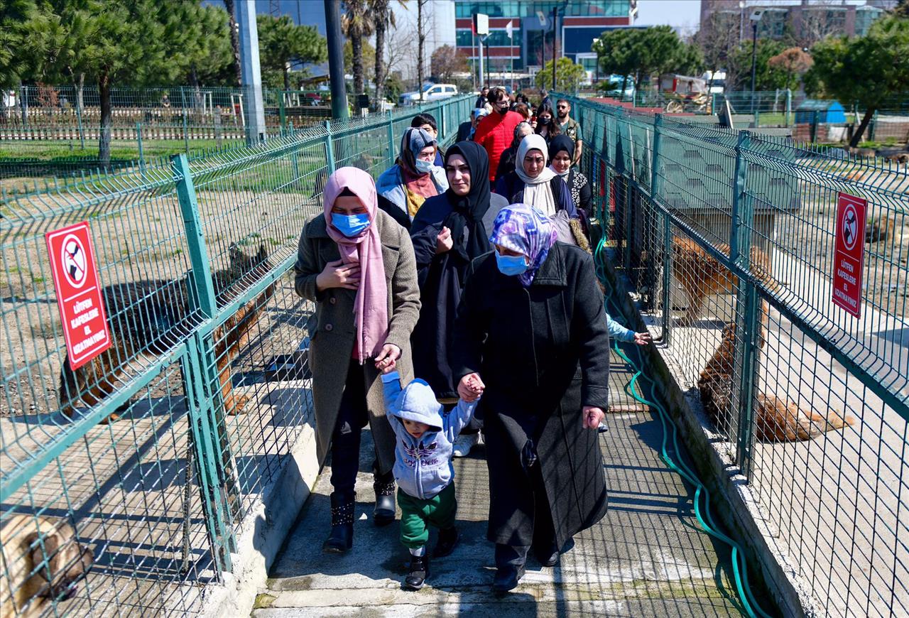 Esenyurt Belediyesi Özel Çocuklarla Hayvanları Buluşturdu