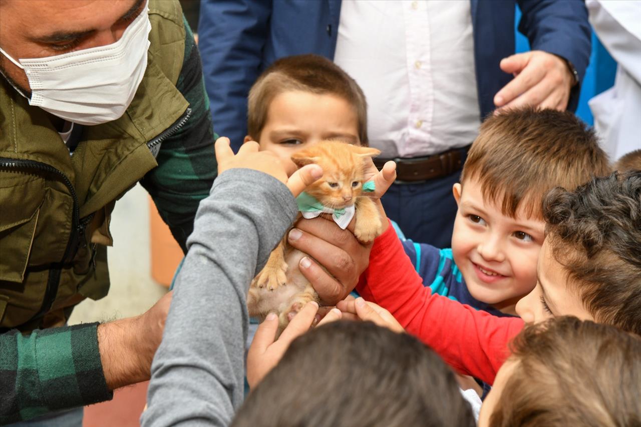 Harçlıkları İle Sokak Hayvanlarına Mama Aldılar!