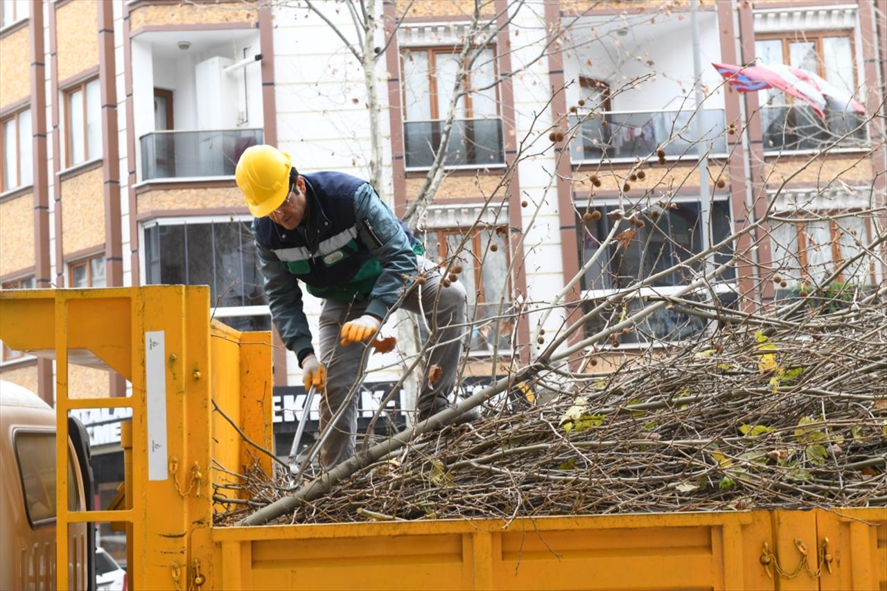 Esenyurt’ta ağaçlar kışa hazırlanıyor