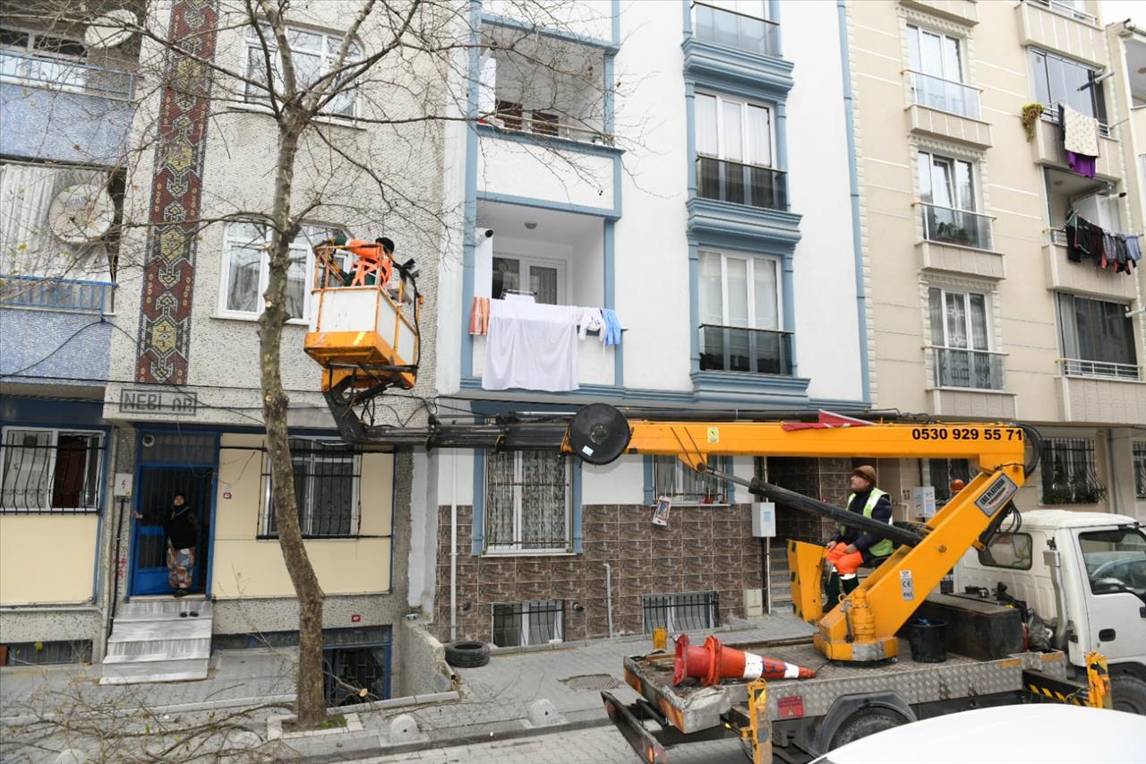 Esenyurt'ta Ağaçlar Budanıyor