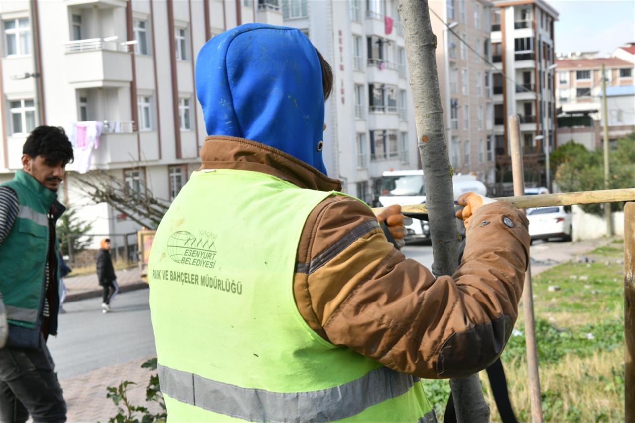 Esenyurt’ta Sorunlar Yeşillendirmeyle Çözülüyor