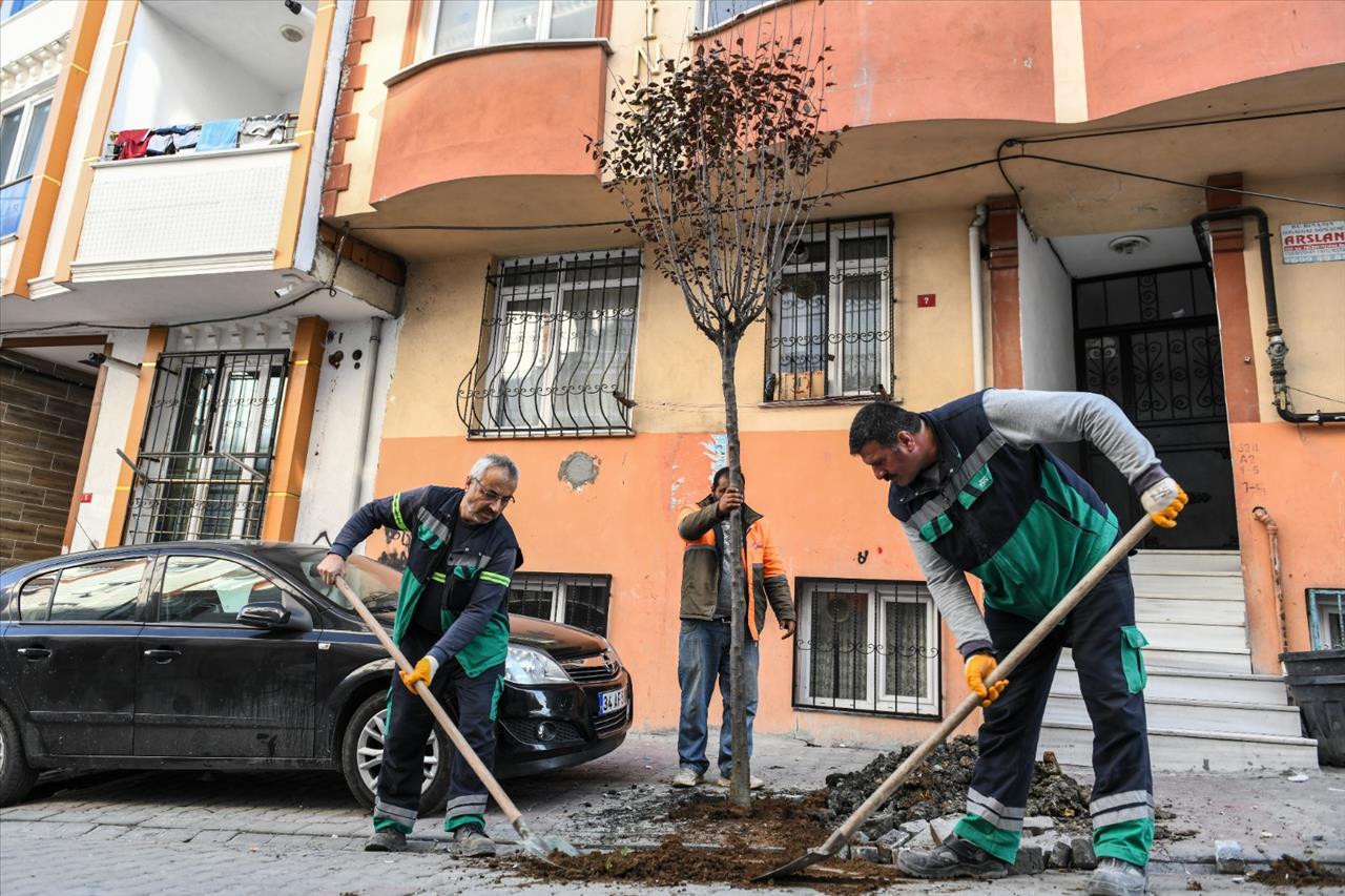 Esenyurt’ta Yeşillendirme Çalışmaları Devam Ediyor