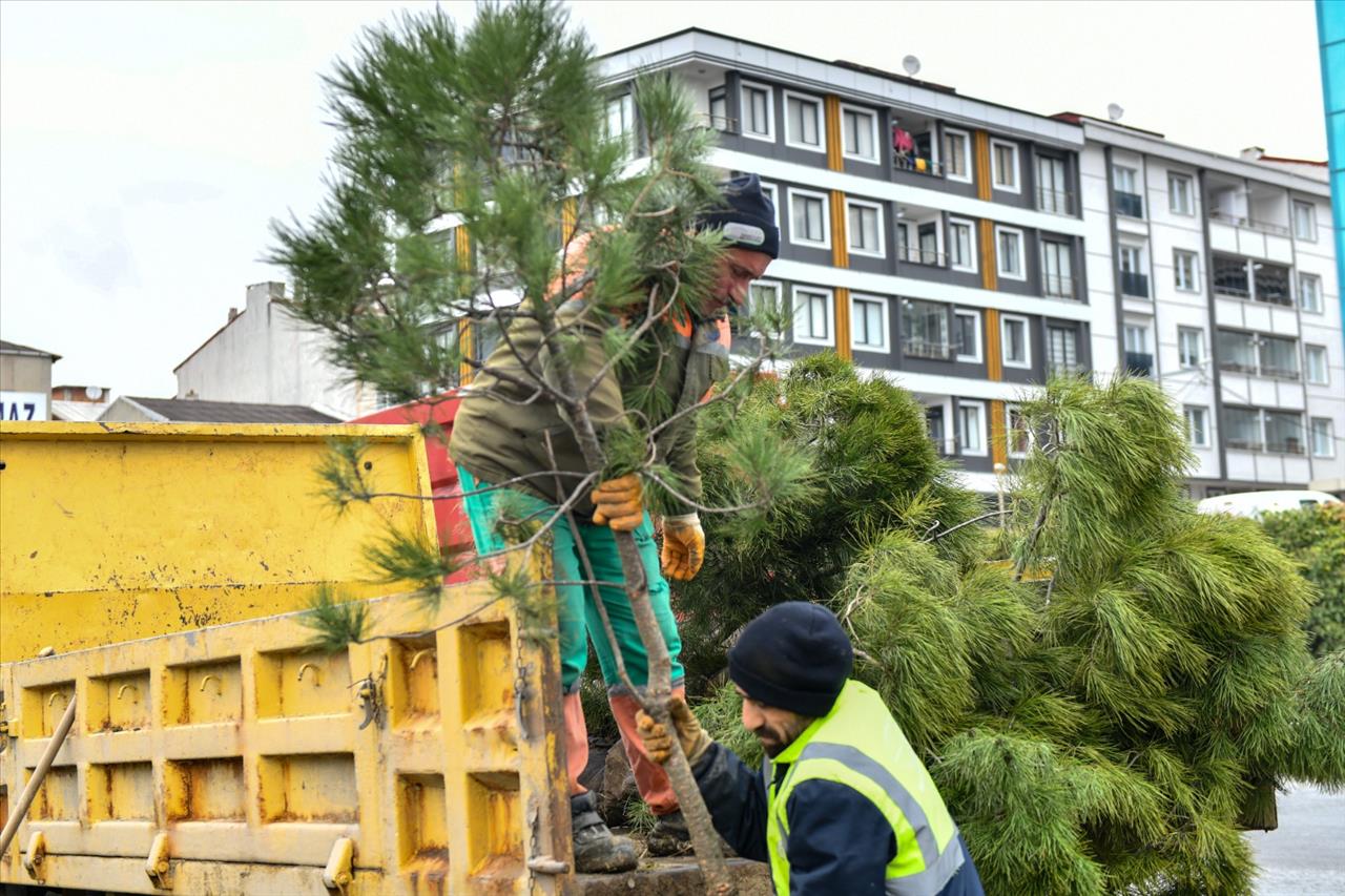 Esenyurt’ta Yeşillendirme Çalışmaları Sürüyor