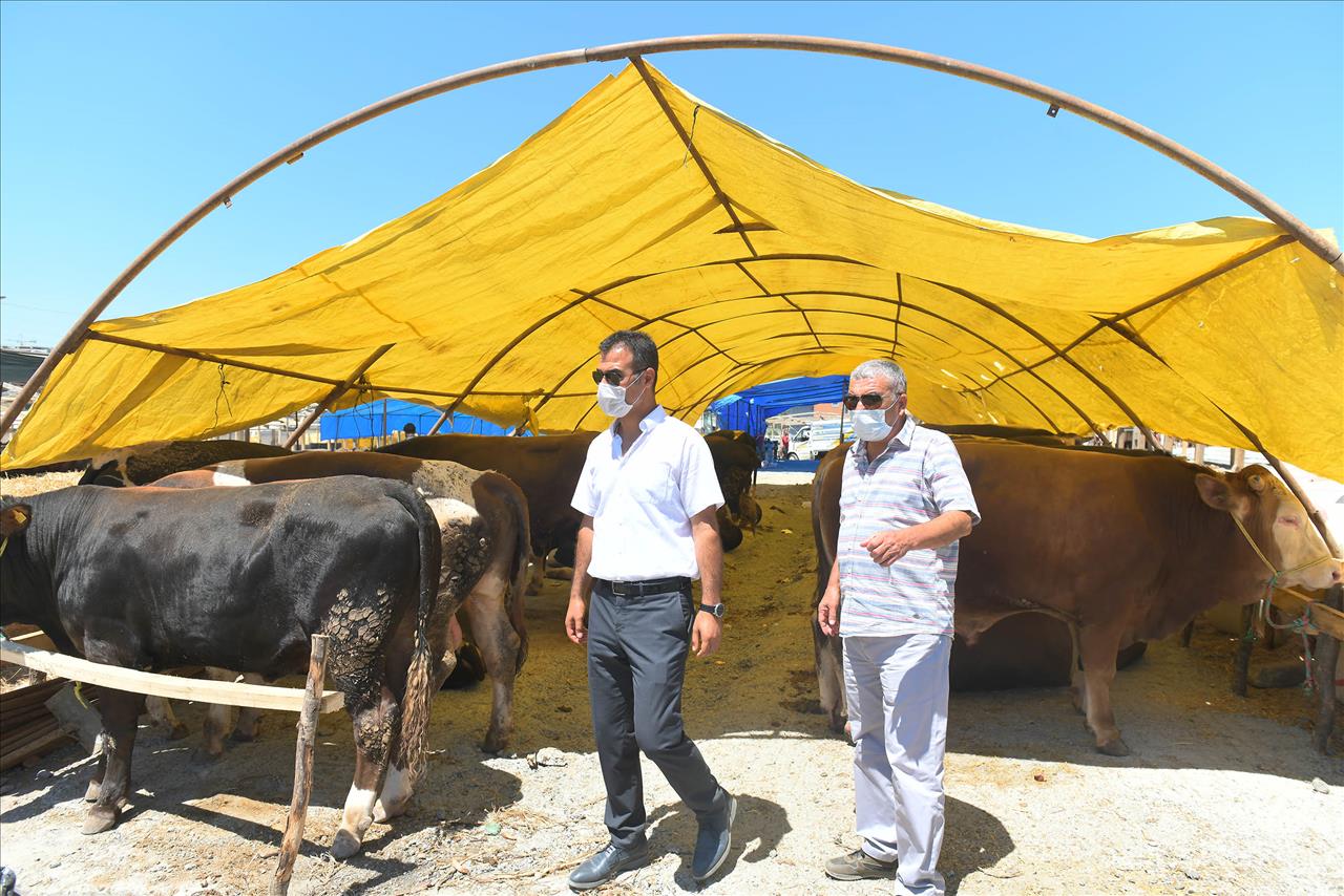 Esenyurt Belediyesi’nden Kurban Hazırlıklarını Tamamladı