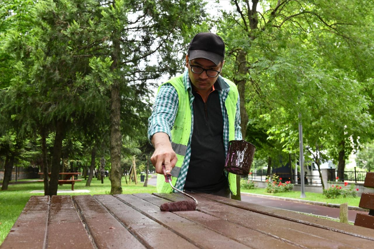 Parklar Çiçek ve Bitkilerle Süsleniyor