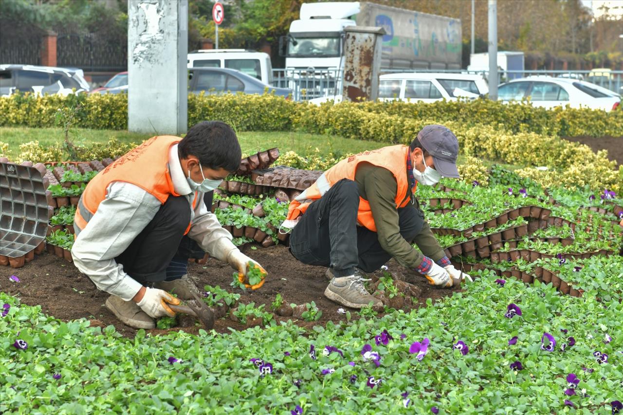 Esenyurt’ta Ağaçlandırma Çalışmaları Devam Ediyor