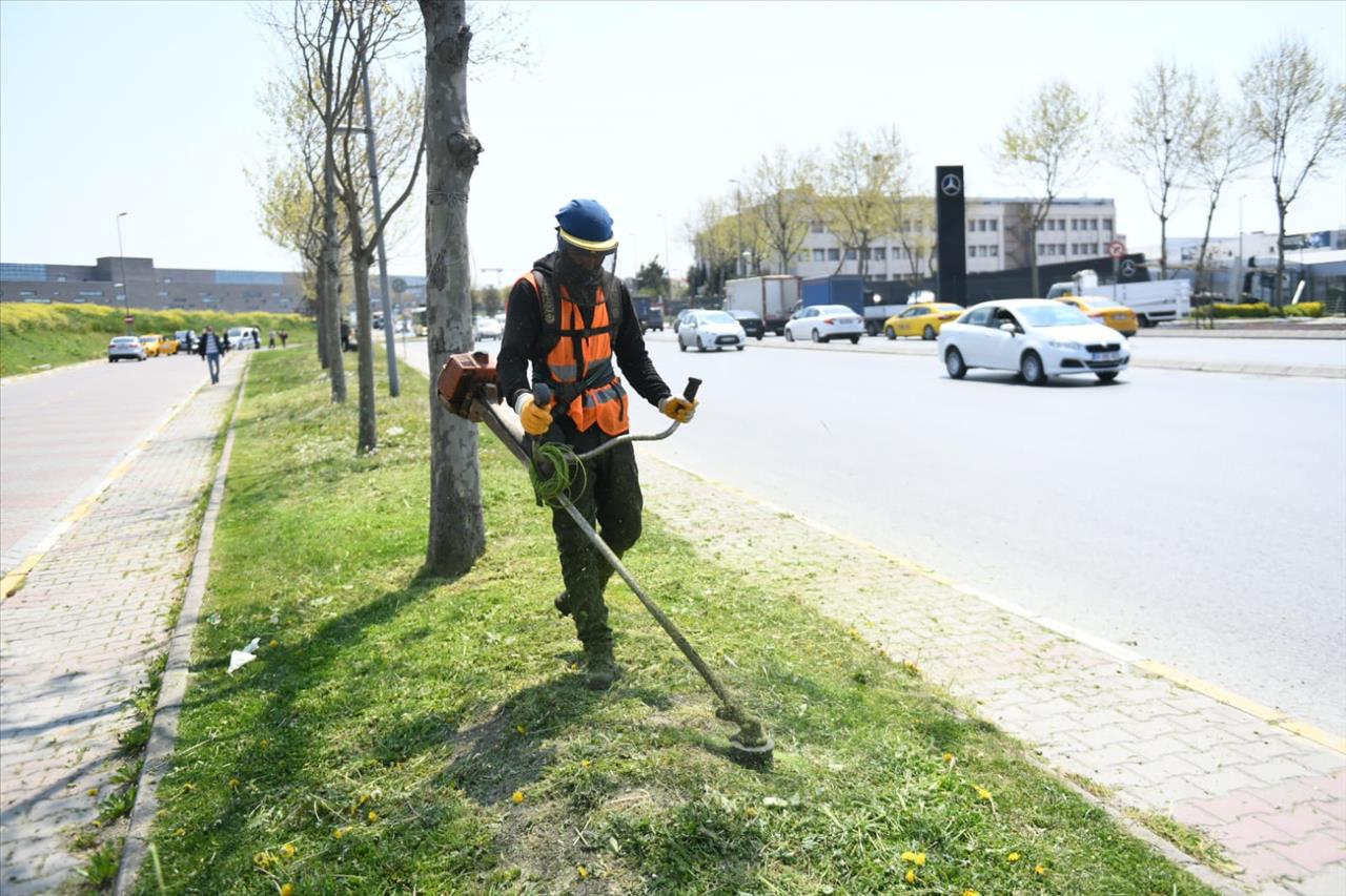 Esenyurt'ta Park ve Yeşil Alanlarda Yaz Hazırlığı Devam Ediyor