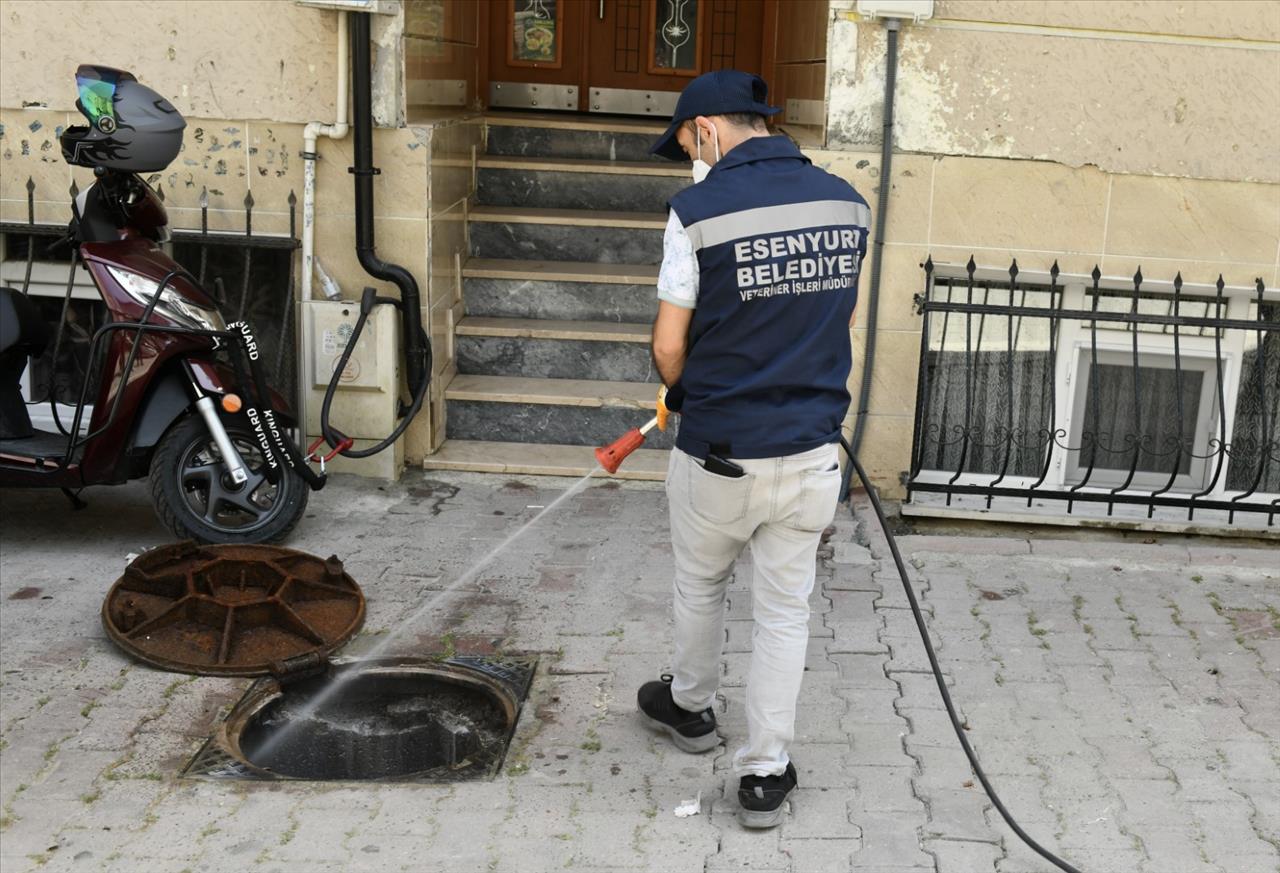 Esenyurt Belediyesinden Haşere ve Böceklerle Etkin Mücadele