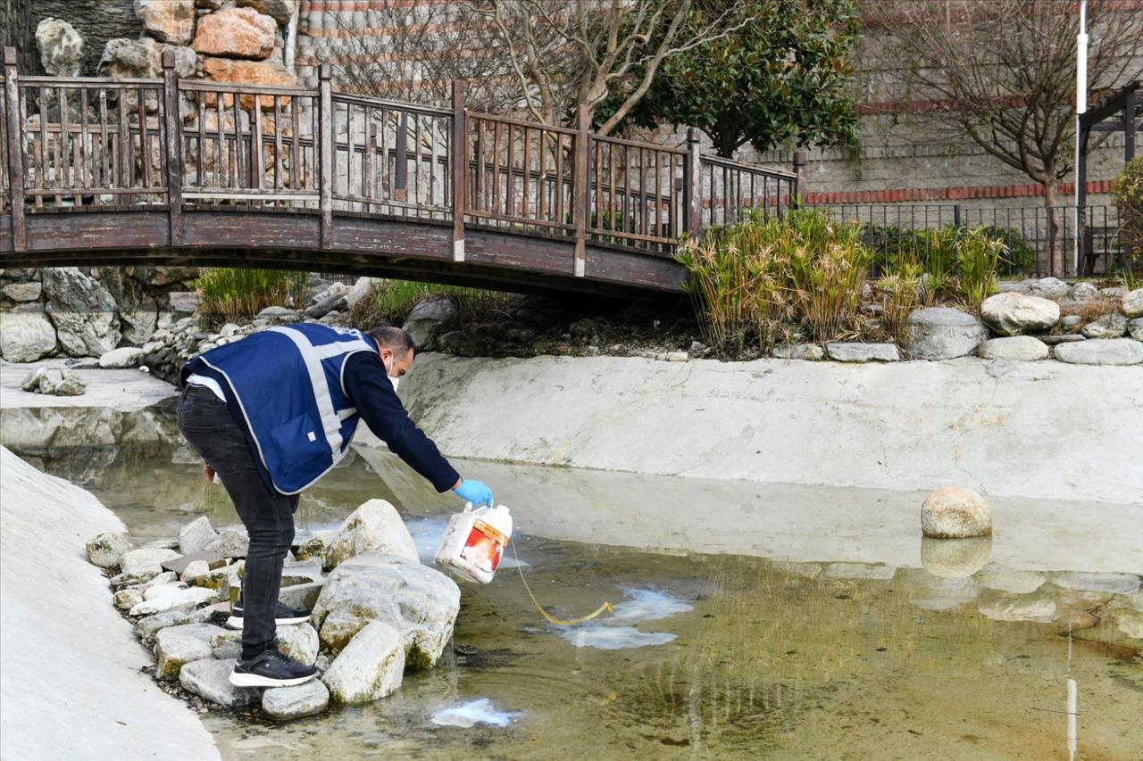 Esenyurt Belediyesi, Haşerelere Karşı Etkin Mücadele Sergiliyor