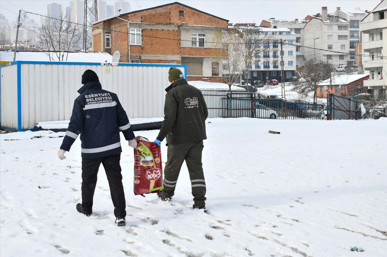 Esenyurt'ta Can Dostlarımız Yalnız Bırakılmıyor