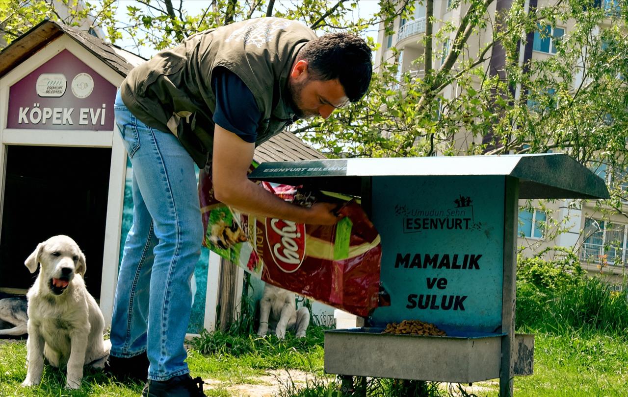 Esenyurt Belediyesi, Can Dostlarımıza Desteğini Ramazan’da Da Sürdürüyor