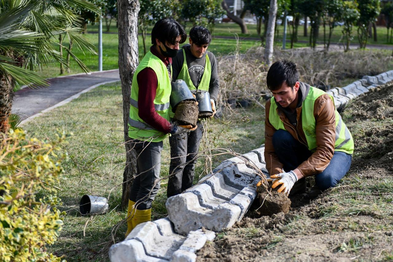 Havana Park Yenileniyor