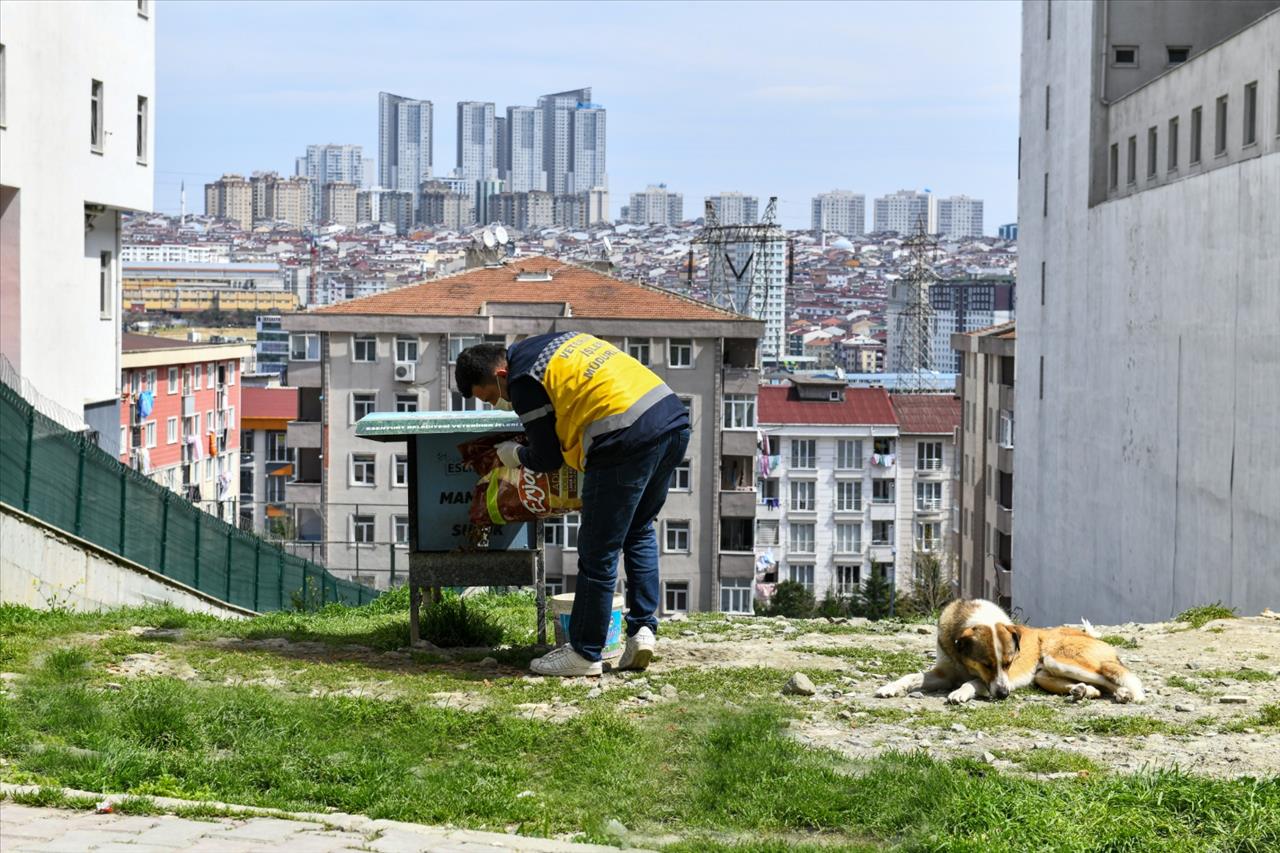 Esenyurt Belediyesi, Nisan Ayında Hizmetlerini Artırarak Devam Etti