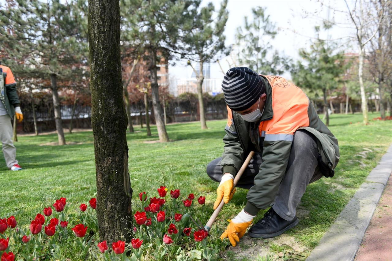 Esenyurt'ta Park ve Yeşil Alanlarda Yaz Hazırlığı Devam Ediyor