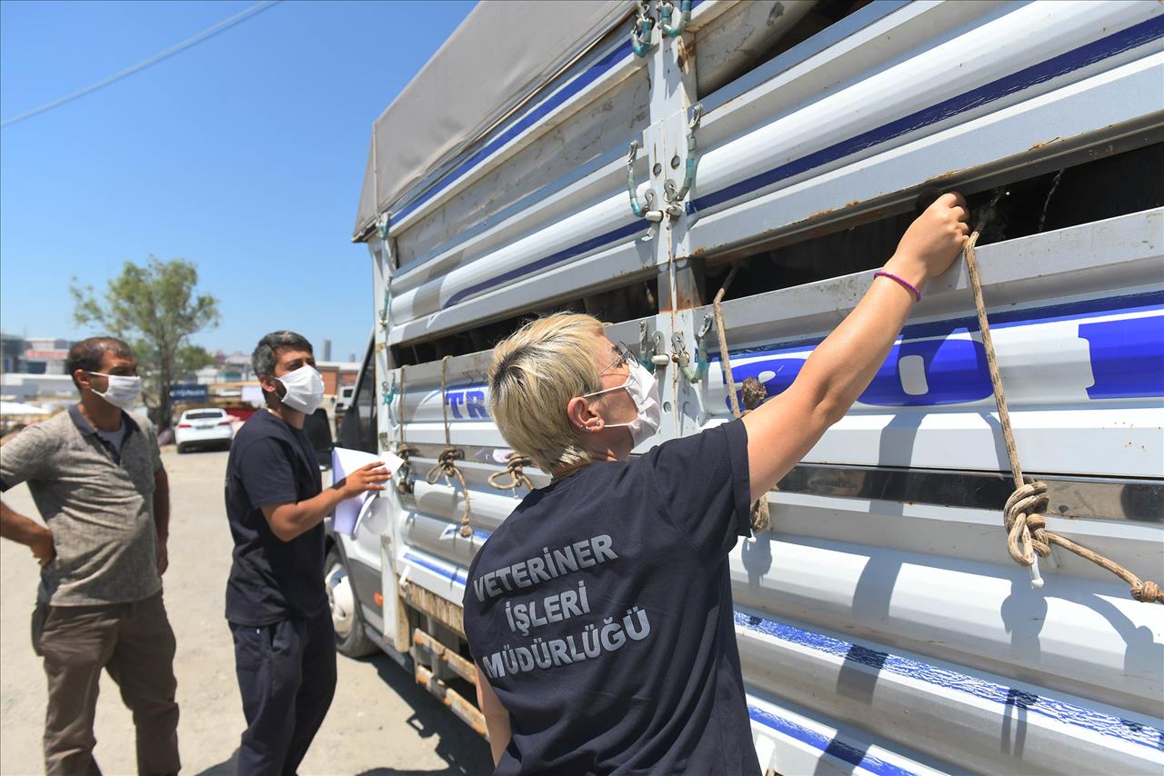 Esenyurt Belediyesi’nden Kurban Hazırlıklarını Tamamladı