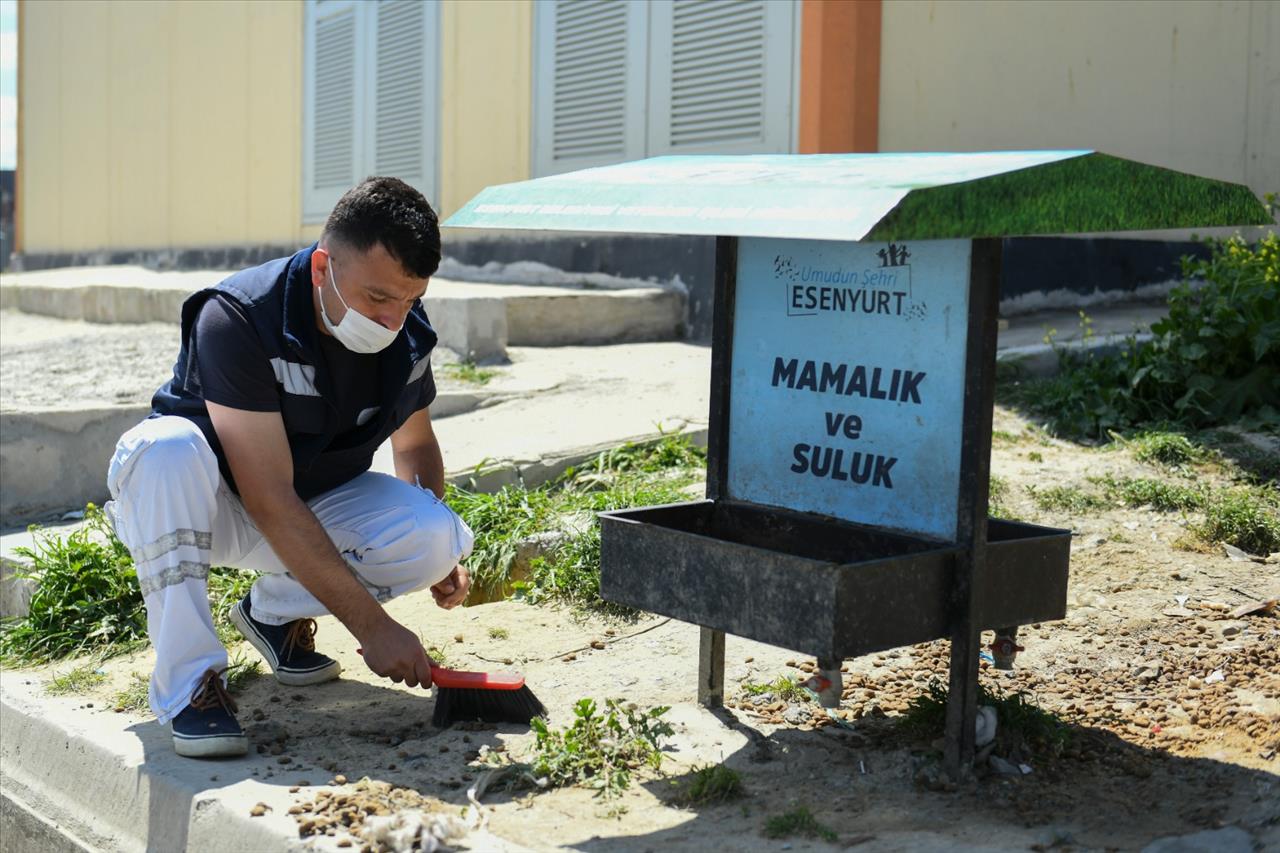 Esenyurt Belediyesi, ‘Tam Kapanma’ Döneminde De Can Dostlarımızı Yalnız Bırakmıyor