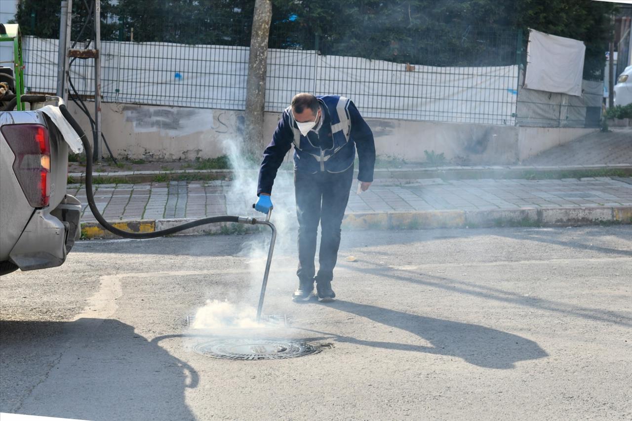 Esenyurt Belediyesi, Haşerelere Karşı Etkin Mücadele Sergiliyor