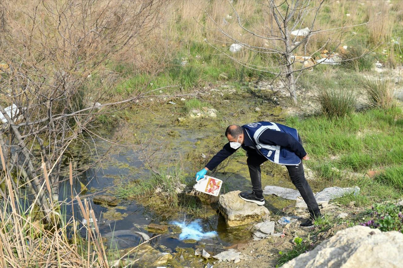 Esenyurt Belediyesi, Haşerelere Karşı Etkin Mücadele Sergiliyor