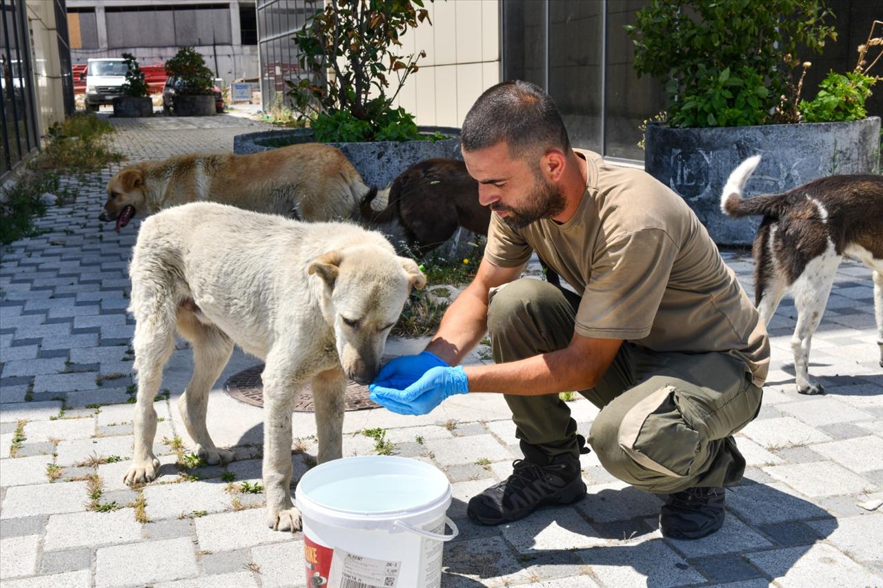 Can Dostlarımız İçin Seferber Oldular