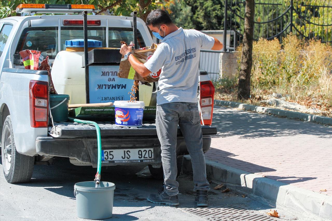 Esenyurt Belediyesi Hayvan Dostlarını Unutmadı