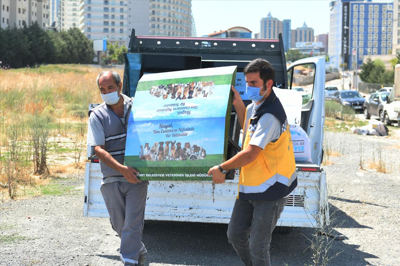 Esenyurt Belediyesi’nden Sokak Hayvanlarına Mamalık Ve Suluk