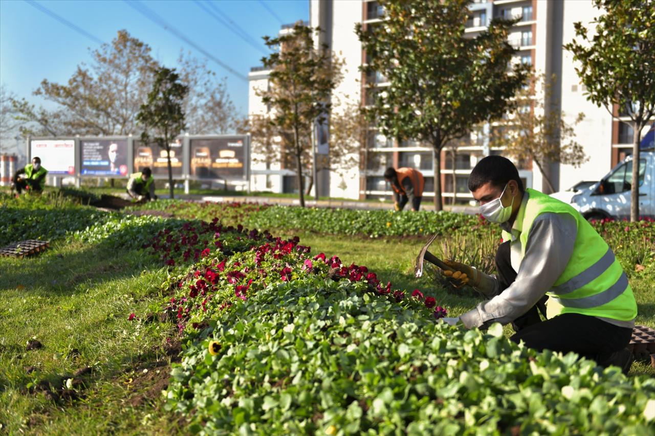 Esenyurt Belediyesi, Sosyal Belediyecilik Anlayışıyla Çalışmalarını Sürdürüyor 