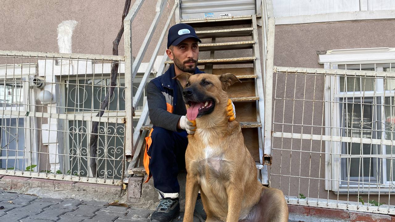 Sokak Köpeği İle Temizlik Görevlisinin Yürekleri Isıtan Dostluğu