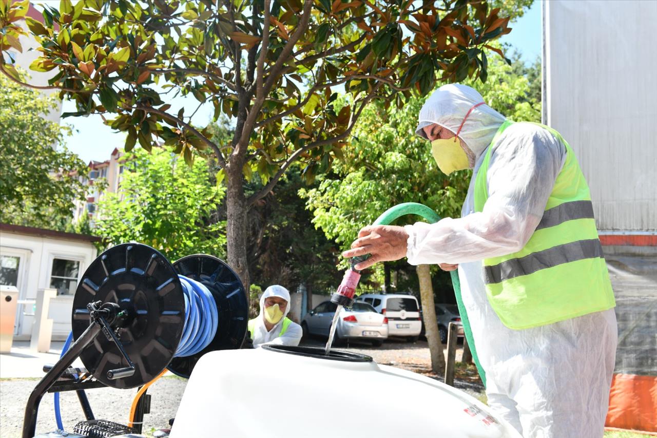 Esenyurt Belediyesi Teke Böceği ile Mücadeleyi Sürdürüyor