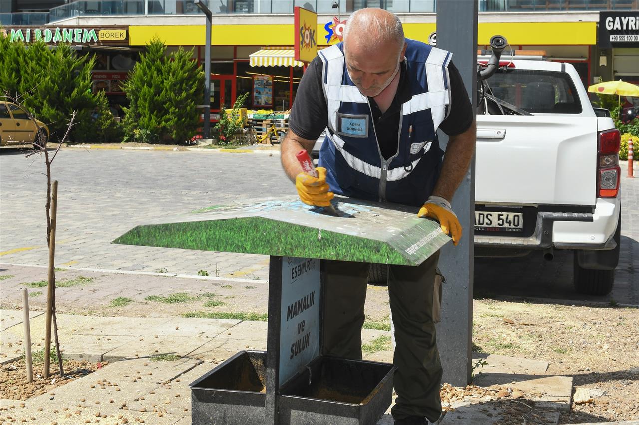 Mamalık Ve Suluklar Yenileniyor