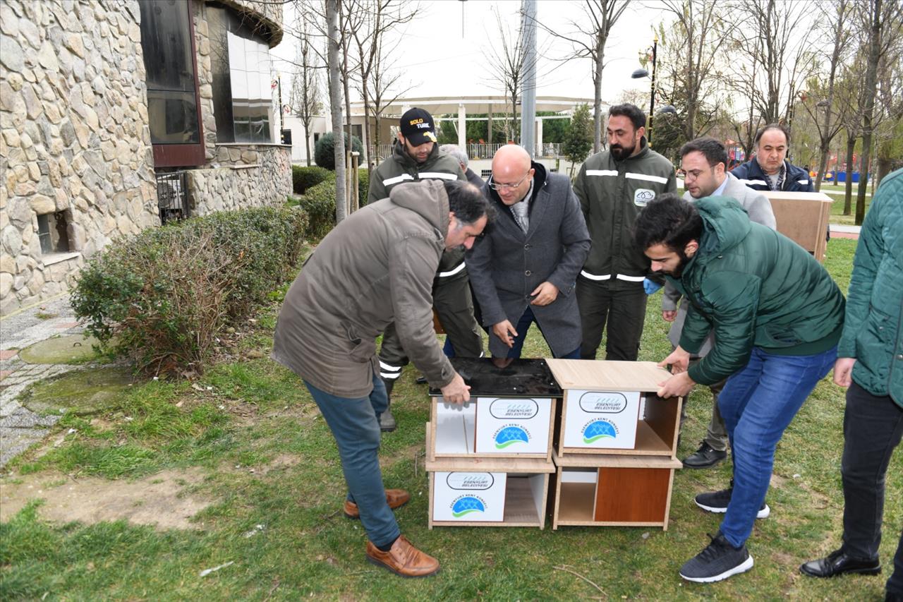 Esenyurt'ta Sokak Hayvanlarına Sıcak Yuva