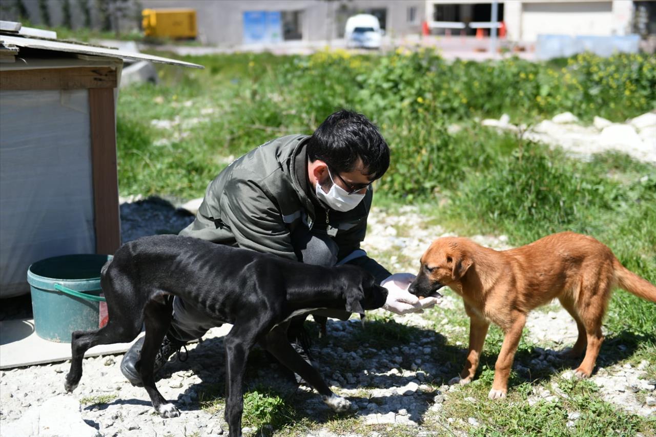 Esenyurt Belediyesi Sağlık Görevlileriyle Aileleri Arasında Köprü Oldu